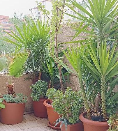 Caces Apartamento Principe מראה חיצוני תמונה