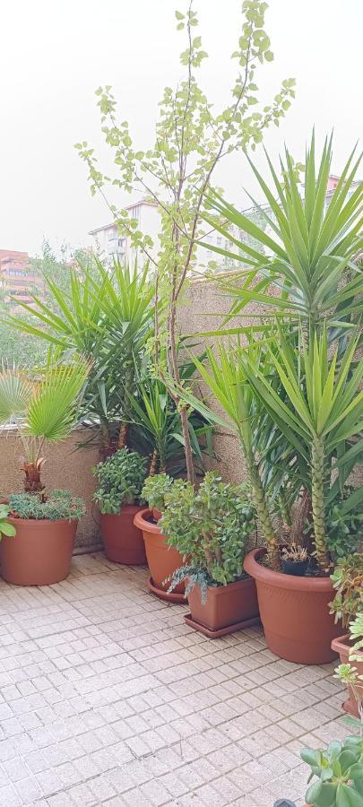 Caces Apartamento Principe מראה חיצוני תמונה