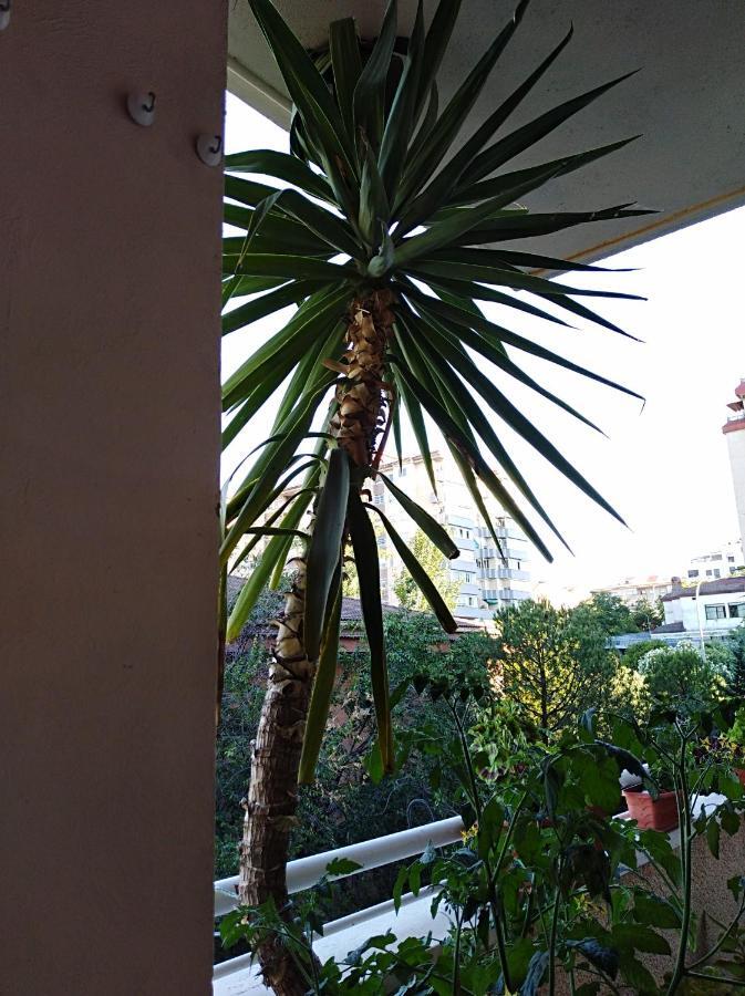 Caces Apartamento Principe מראה חיצוני תמונה